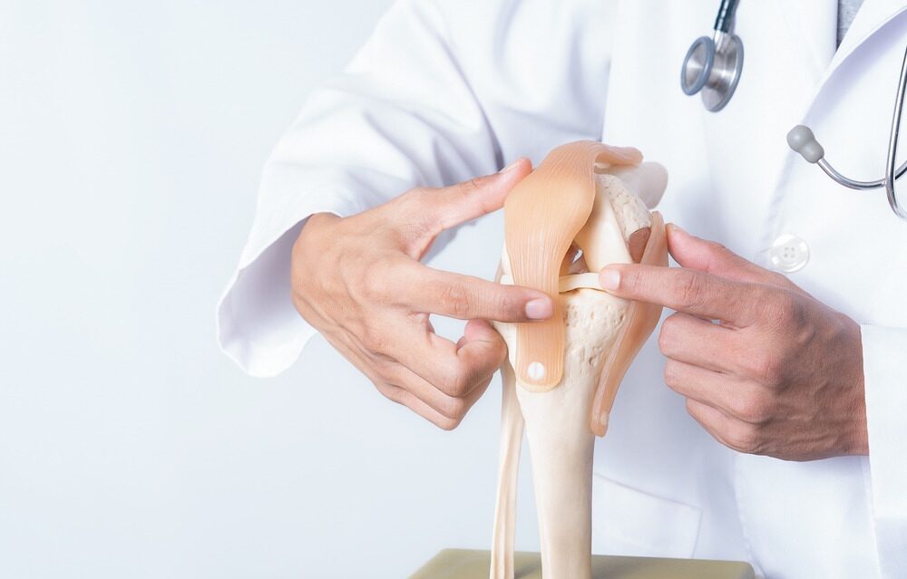 Closeup,,Professional,Doctor,Pointed,On,Area,Of,Model,Knee,Joint.